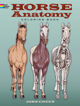 Paperback Horse Anatomy Coloring Book