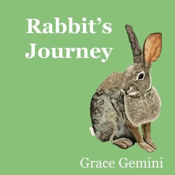 Paperback Rabbit's Journey Book