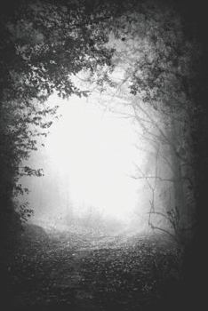 Paperback Légendes urbaines, mythes, rumeurs et racontars [French] Book