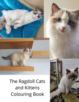 Paperback The Ragdoll Cats and Kittens Colouring Book