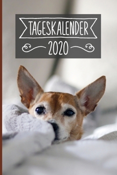 Paperback Tageskalender 2020: Terminkalender ca DIN A5 weiß über 370 Seiten I 1 Tag eine Seite I Jahreskalender I Chihuahua I Hunde [German] Book