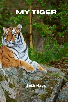 Paperback My Tiger Book