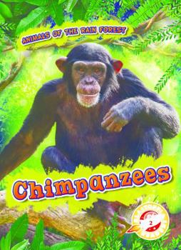 Chimpanzees - Book  of the Scholastic: Blastoff!  Animals of the Rain Forest