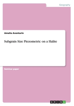 Paperback Subgrain Size Piezometric on a Halite Book