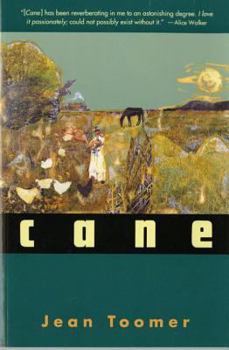 Paperback Cane Book