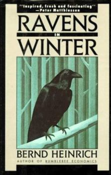 Paperback Ravens in Winter Book