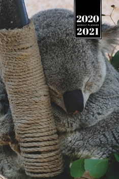 Koala Bear Rainforest Week Planner Weekly Organizer Calendar 2020 / 2021 - Time to Sleep: Cute Wildlife Animal Pet Bullet Journal Notebook Diary in 6 x 9 Inch Pocket Size