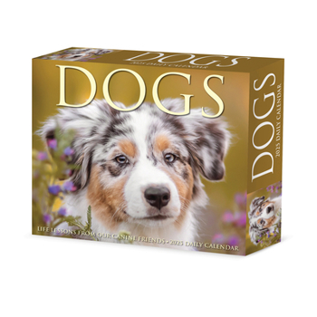 Calendar Dogs 2025 6.2 X 5.4 Box Calendar Book