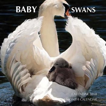 Baby Swans Calendar 2018: 16 Month Calendar