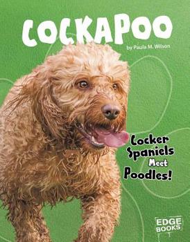 Hardcover Cockapoo: Cocker Spaniels Meet Poodles! Book