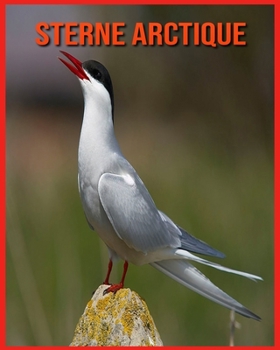 Paperback Sterne Arctique: Informations Fascinantes Concernant les Sterne Arctique avec de Superbes Images pour Enfants! [French] Book
