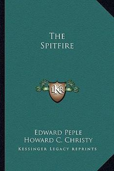 Paperback The Spitfire Book