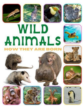 Paperback Wild Animals - How They Are Born Book