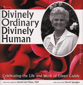 Hardcover Divinely Ordinary Divinely Hum Book