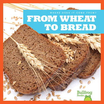 Paperback From Wheat to Bread Book