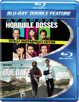 Horrible Bosses / Due Date