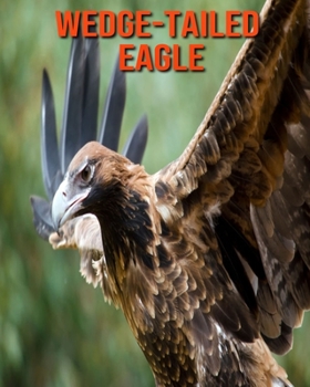 Paperback Wedge-Tailed Eagle: Fun Learning Facts About Wedge-Tailed Eagle Book