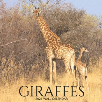 Paperback Giraffes 2021 Wall Calendar: Wildlife Photography, Camelopard Pictures, 8.5 x 8.5, Monthly Calendar Planner for Home Office School Book