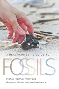Paperback A Beachcomber's Guide to Fossils Book