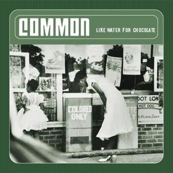 Vinyl Like Water For Chocolate (2 LP)(Explicit) Book
