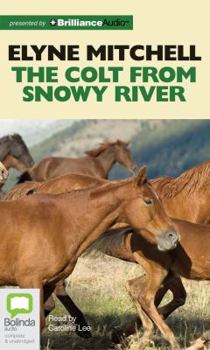 The Colt from Snowy River - Book #14 of the Silver Brumby - Extended