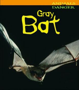 Paperback Gray Bat Book