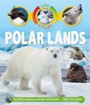 Paperback Life Cycles: Polar Lands Book