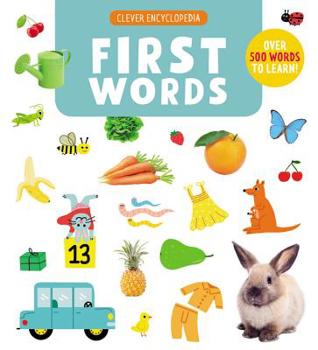 Hardcover First Words: Over 500 Words to Learn! Book