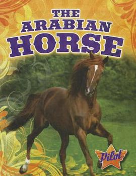 Library Binding The Arabian Horse Book