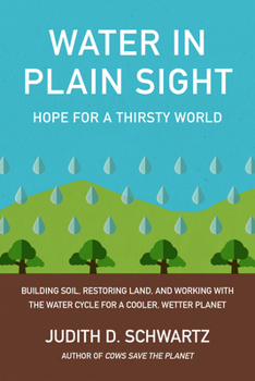 Paperback Water in Plain Sight: Hope for a Thirsty World Book