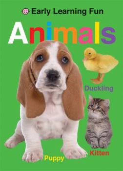 Board book Animals Book