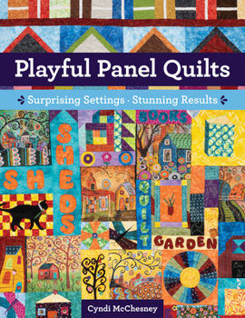 Paperback Playful Panel Quilts: Surprising Settings, Stunning Results Book
