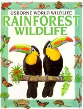 Rainforest Wildlife (Usborne World Wildlife) - Book  of the Usborne World Wildlife