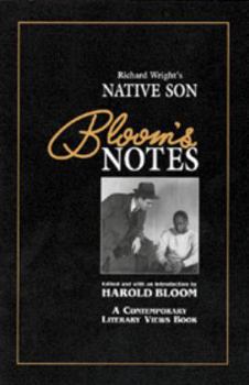 Native Son (Bloom's Guides)