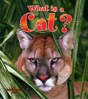 Paperback What Is a Cat? Book