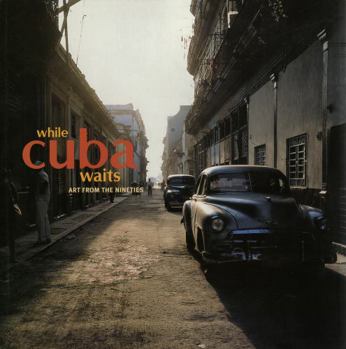 Paperback While Cuba Waits : Art From the Nineties Book
