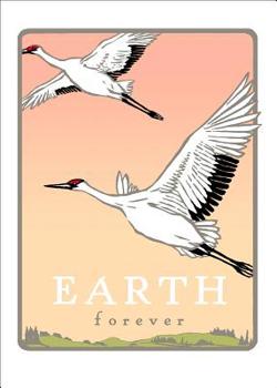Cards Whooping Cranes: Earth Forever (Boxed): Boxed Set of 6 Cards Book