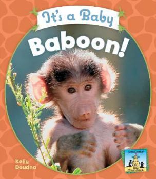 It's a Baby Baboon! - Book  of the Baby Mammals