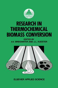 Hardcover Research in Thermochemical Biomass Conversion Book