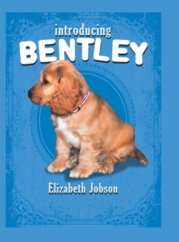 Hardcover Introducing Bentley Book