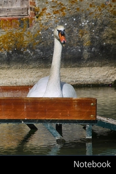 Notebook: Cygne, Cygnes, Couple, Repos Carnet / Journal / Livre d'écriture / Calepin / Agenda / Notes - 6 x 9 pouces (15,24 x 22,86 cm), 110 pages, surface brillante.