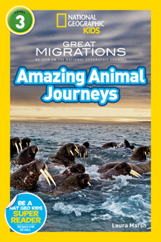 Paperback Great Migrations Amazing Animal Journeys Book