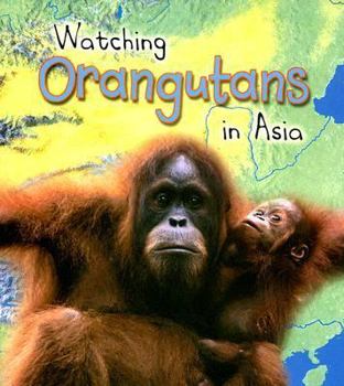 Paperback Watching Orangutans in Asia (Wild World) Book