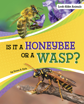 Hardcover Is It a Honeybee or a Wasp? Book