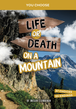 Life or Death on a Mountain: An Interactive Survival Adventure (You Choose: Lost!)