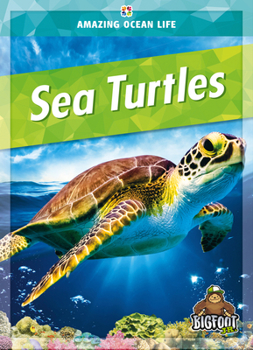 Hardcover Sea Turtles Book