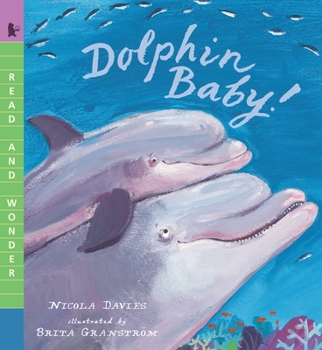 Paperback Dolphin Baby!: Read and Wonder Book