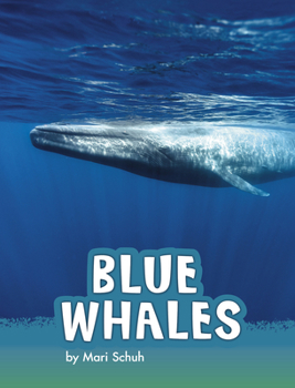 Paperback Blue Whales Book