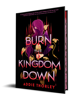 Hardcover Burn the Kingdom Down Book