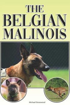 Paperback The Belgian Malinois: A Complete and Comprehensive Beginners Guide To: Buying, Owning, Health, Grooming, Training, Obedience, Understanding Book